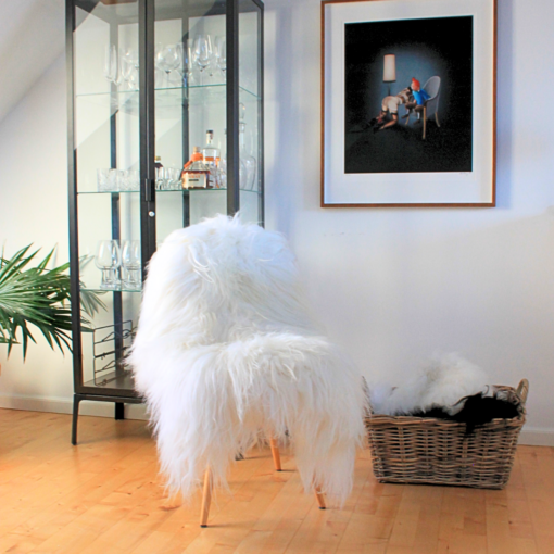 Islandsk Lammeskind i bedste kvalitet Kroellet haar Natur hvid 111 130 cm